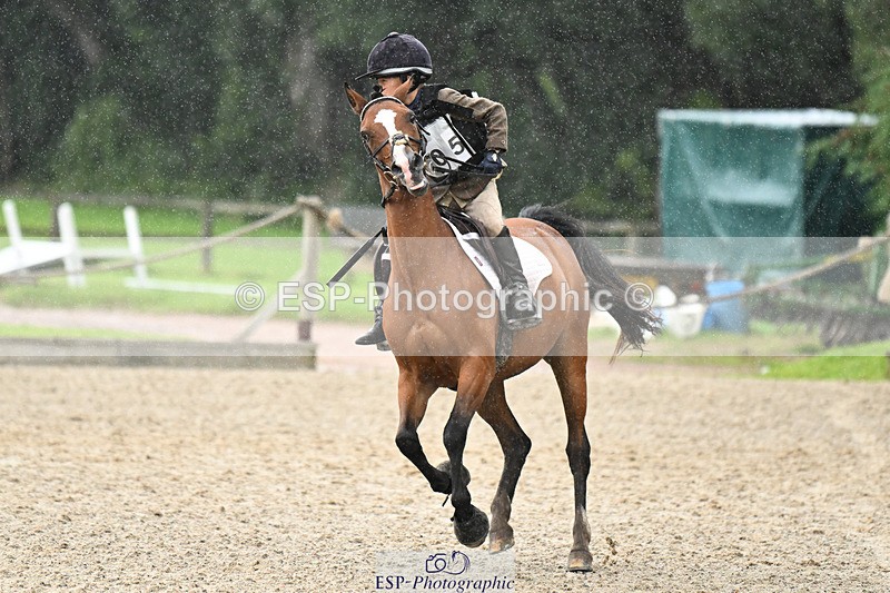 240824X-122833-25483 - 70cm Jump Off