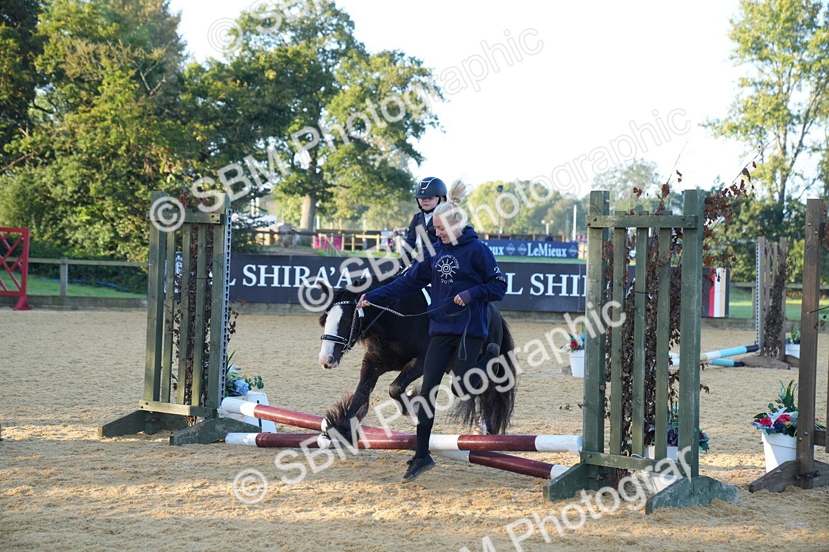 SBM_58882 - J63 - Minis Clear Round 30cm 40cm