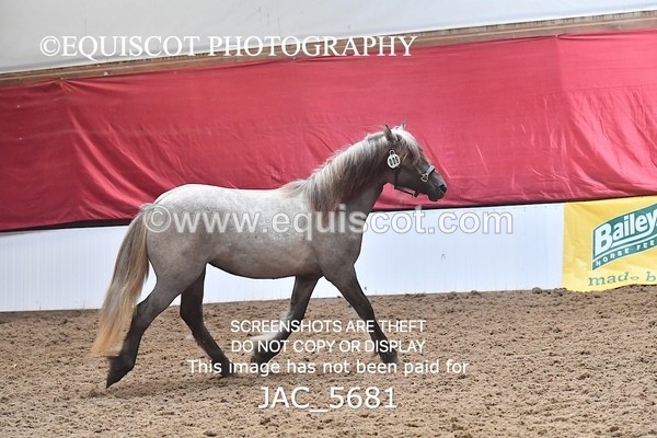 JAC_5681 - 6 Glenmuir Niamh