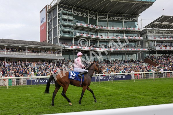 240823-Race 4-Warm Heart-5223 - Race 4 3.35pm Pertemps Network Yorkshire Oaks