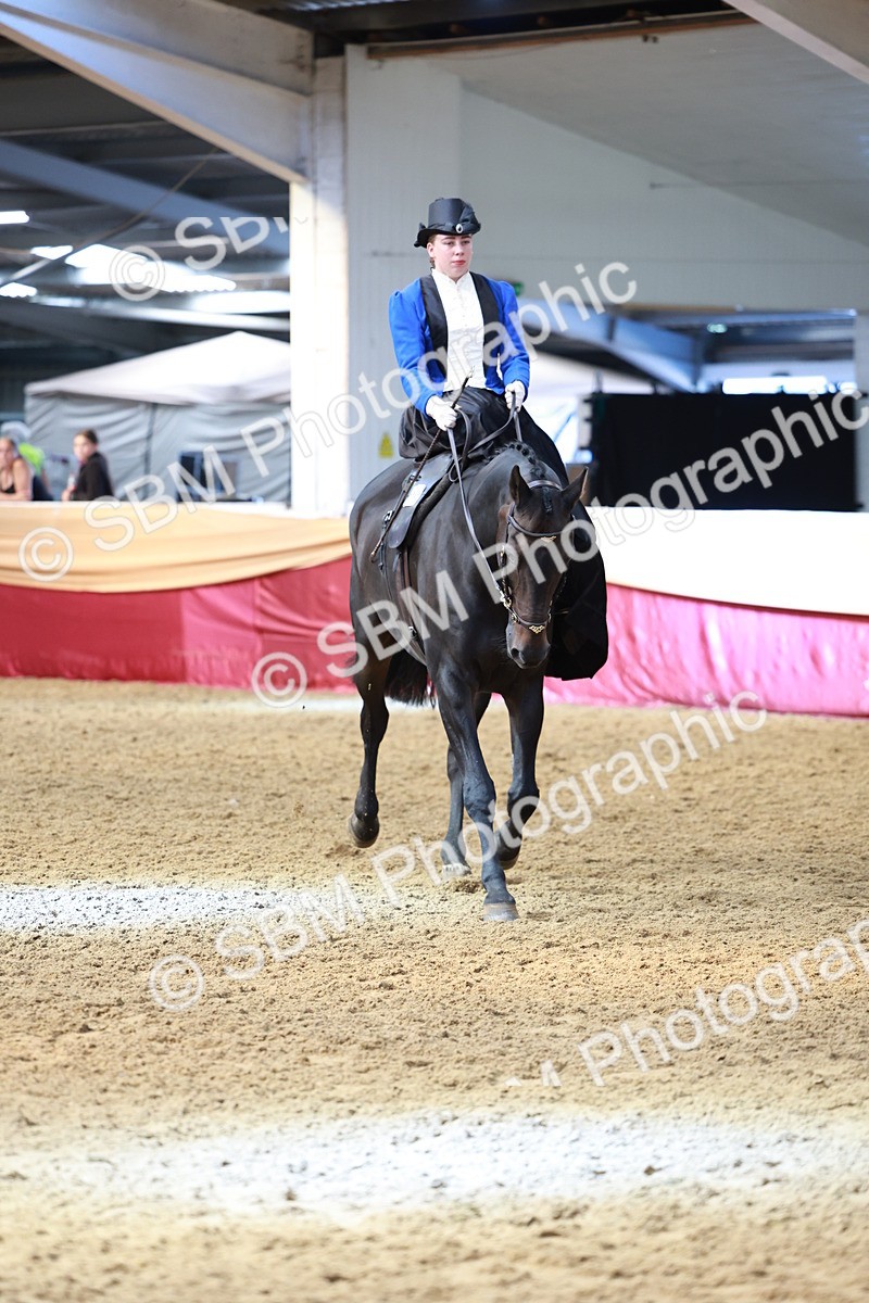 SBM_13592 - Class 105 - Ridden Costume - Side Saddle