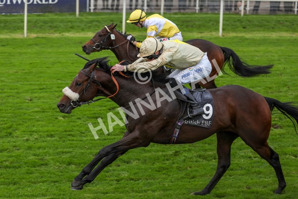 131023-Race 3-Apiarist-9788 - Race 3 3.15pm British EBF £100,000 Final