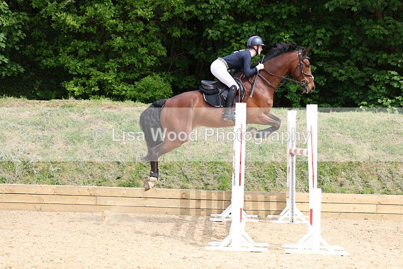3E7A7703 - Class 8: Senior Foxhunter/1.20 open