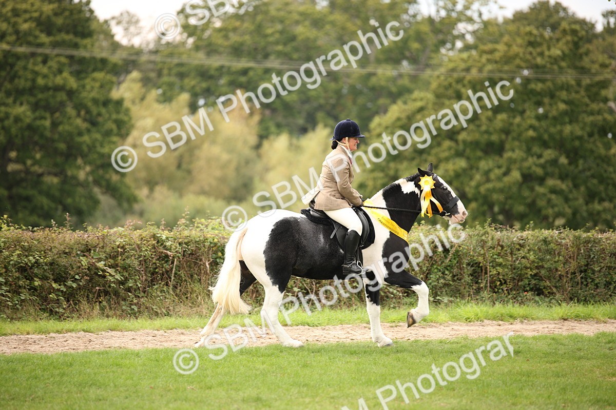 SBM_72412 - S67 - Show Cob Ridden