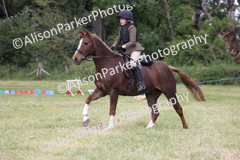 20260614-2740 - Class 22 - Open Working Hunter