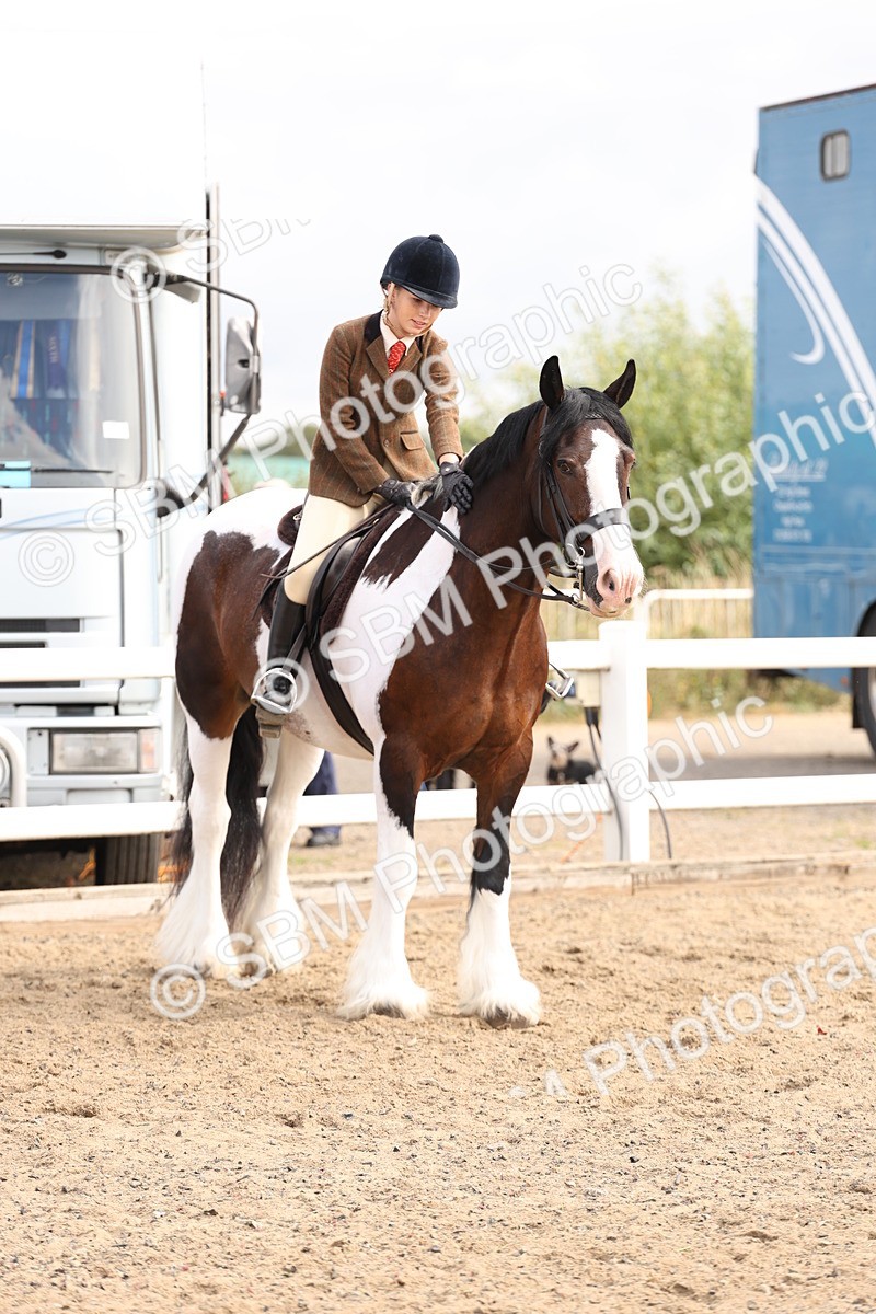 SBM_04274 - Class 54 - Riding Club Horse/Pony