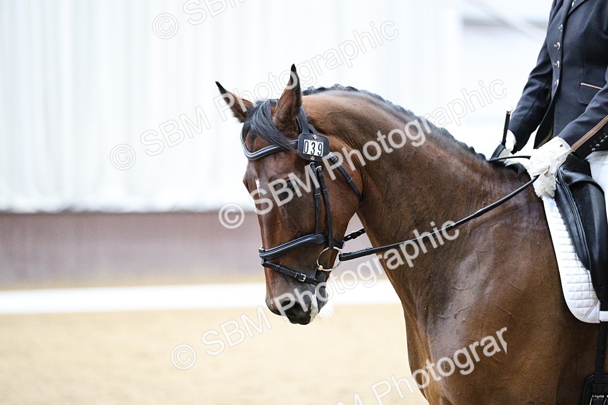 SBM_001291 - Class 5 - Novice 6