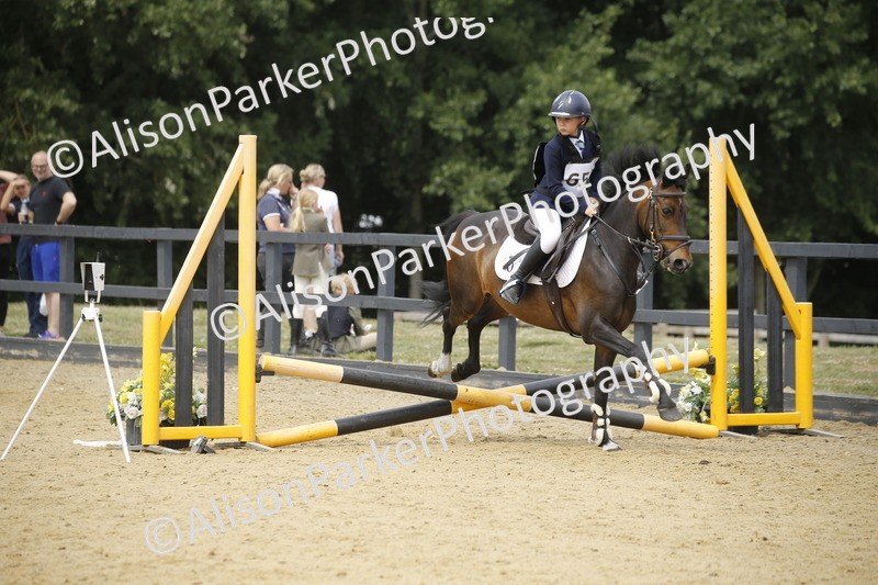 20250622-4725 - 50cm