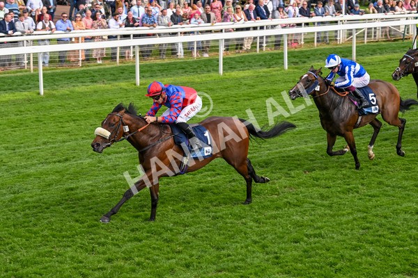 160524-Race 5-Big Evs-6338 - Race 5 4.15pm  British Stallion Studs EBF Westow Stakes