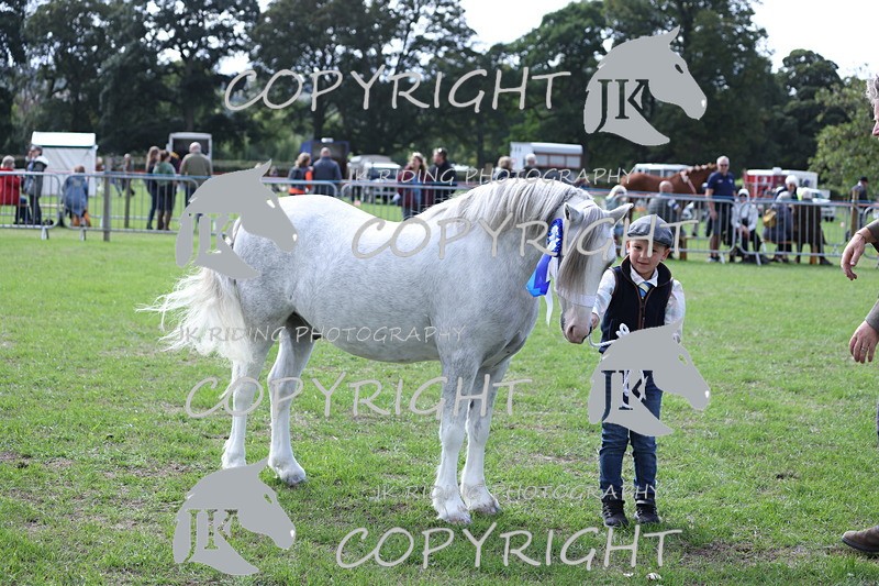 APP_2976 - Class 10a/b M&M in hand