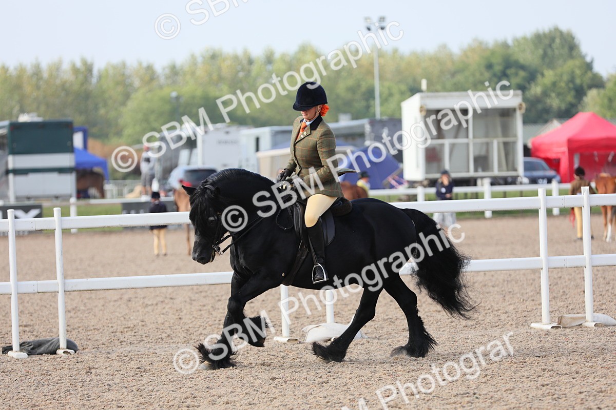 SBM_10121 - Class 302 Ridden M&M -Large Breeds