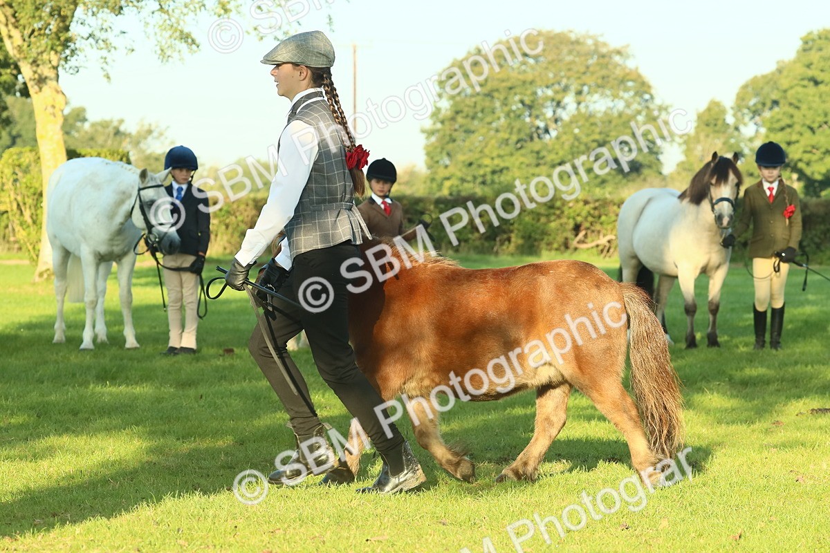 SBM_57429 - S37 - Starters In Hand Showing