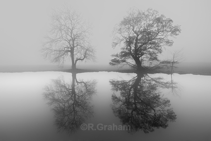 10 - Portfolio 2; Nature.