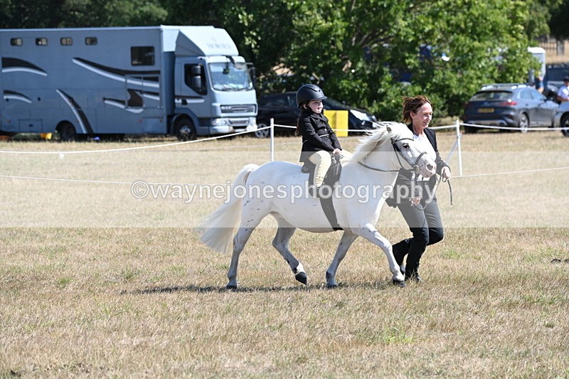 WJ6_7832 - Class 36 Lead Rein