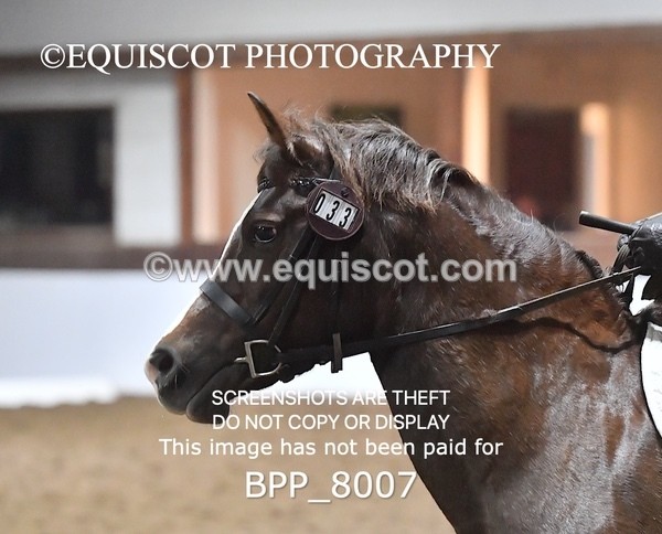 BPP_8007 - PRELIM 4 UNAFF