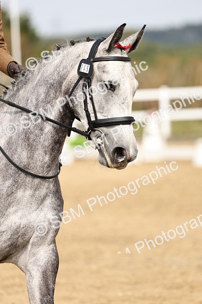 SBM_012434 - Class 2 - Prelim 5