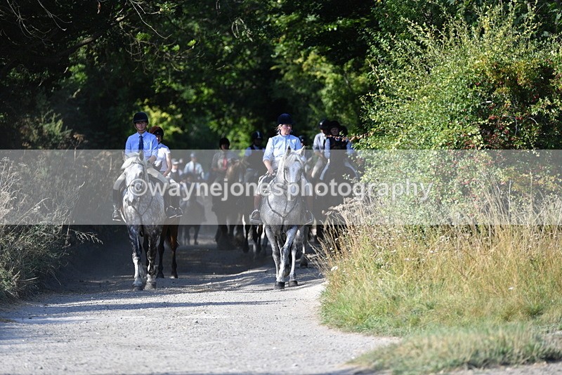 WJ5_4849 - Walk out with the hounds