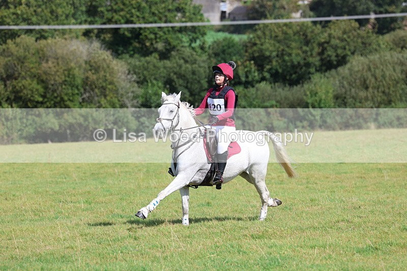 3E7A6690 - Class 1: Trebudannon Open: Pheasant Feeder