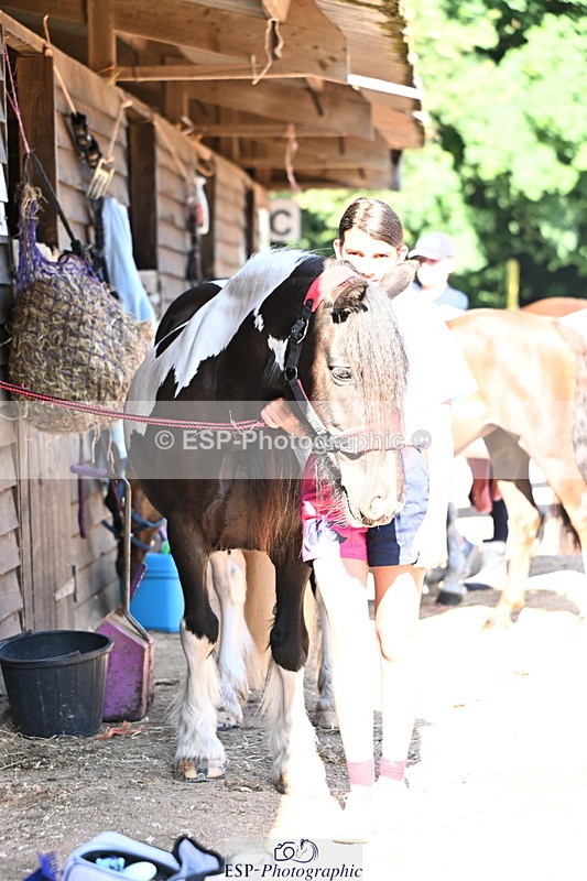 240729B-092416-01776 - Monday Stable Shots