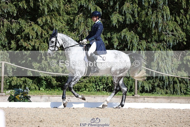 230526-160018-07728 - 167-COR_Y_TARAN-Toots_Bartlett-WEDTrotUp+DR