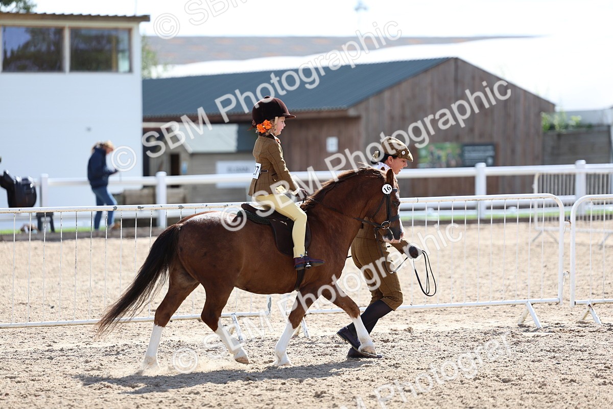 SBM_13019 - Class 309 - Lead Rein Pony