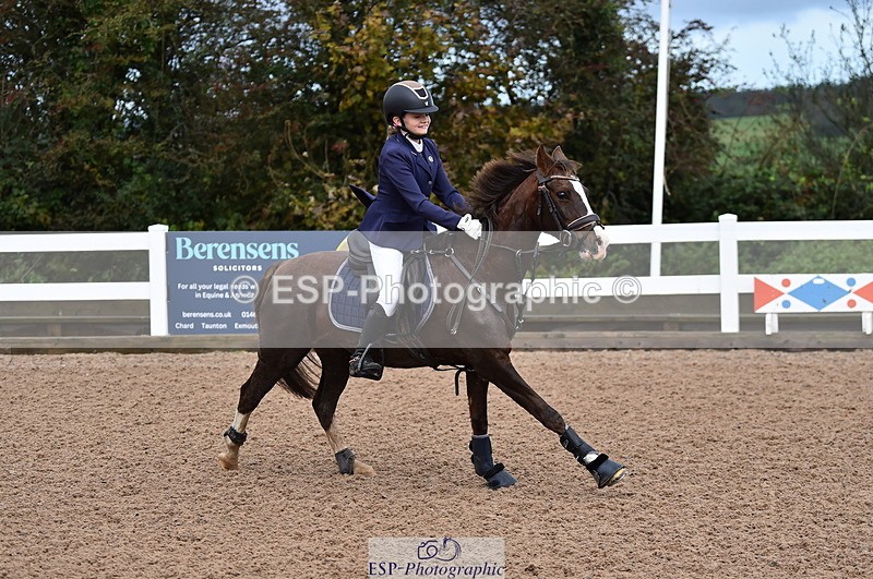 231029A-103654-02350 - 70cm Pony Intro