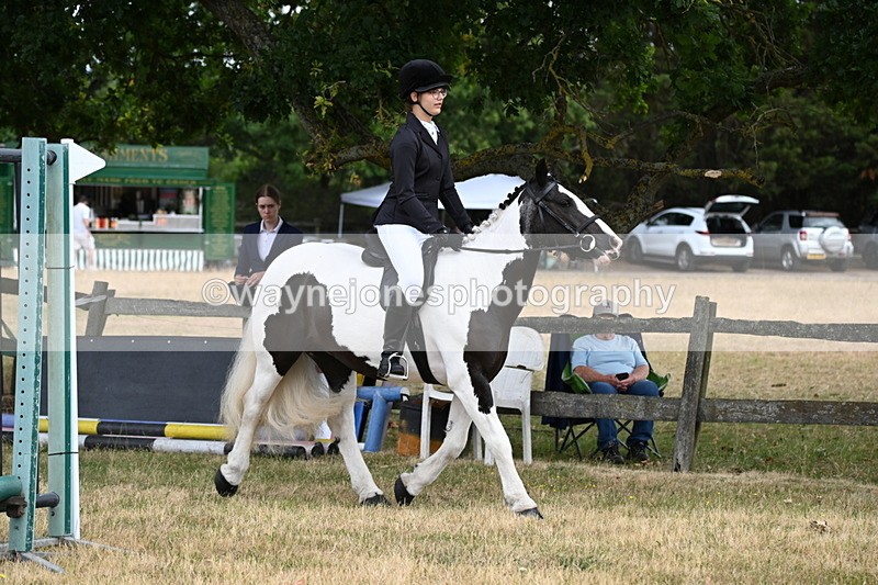 WJ6_3903 - Class 9 Tack & Turnout