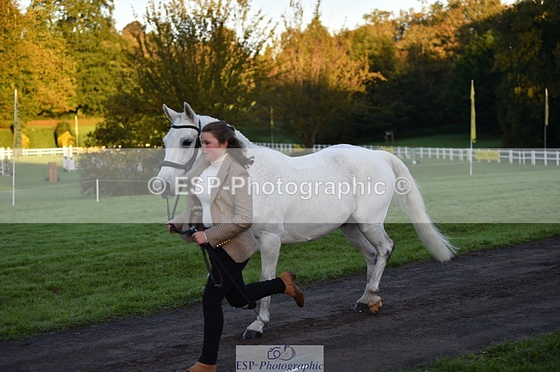 231022-083318-21227 - 659-MACS.BOY-Daisy.Fulton-TrotUp+SJ