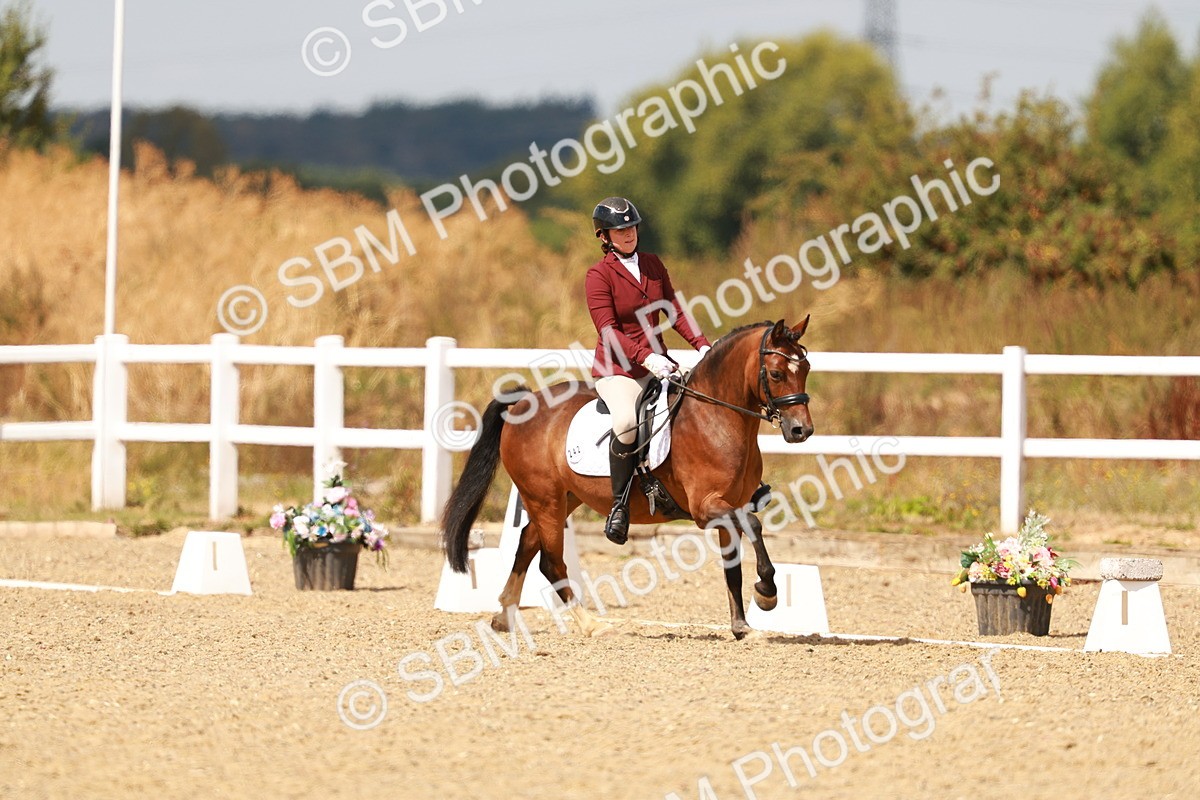 SBM_018626 - Class 9 - N5 Bronze 11.57.13.07
