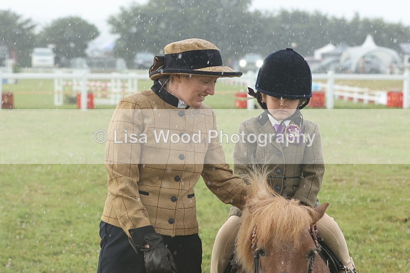 JPP_0375 - Class 14: Cornish Combination Leading Rein