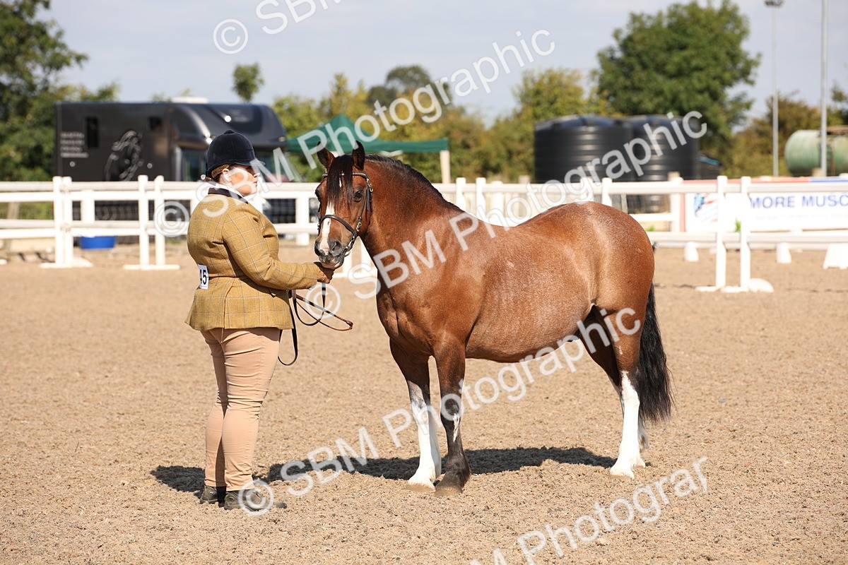SBM_02757 - Class 16 IH M&M Wildcard