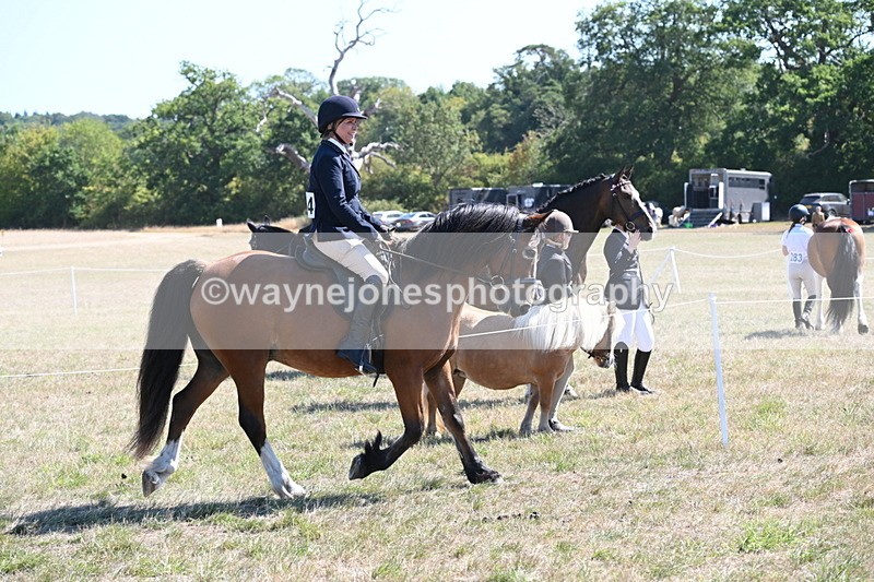 WJ6_8240 - Class 37a Best Loan Pony Ridden
