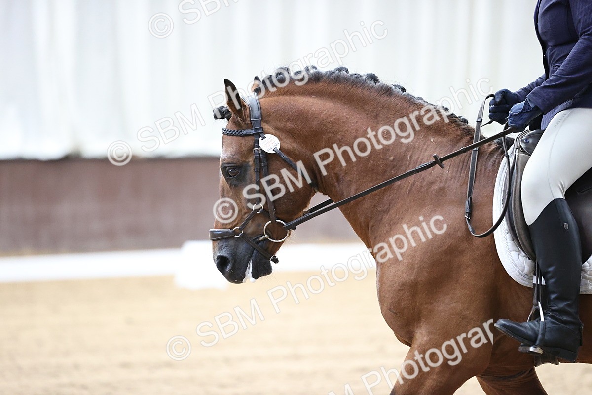 SBM_010410 - Class 3 - Prelim FSM