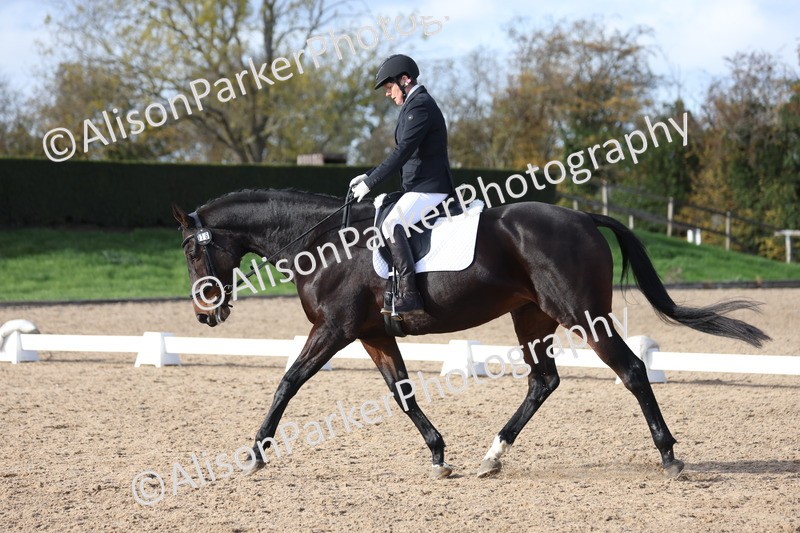 20251101-0657 - Class 5 - Novice 3