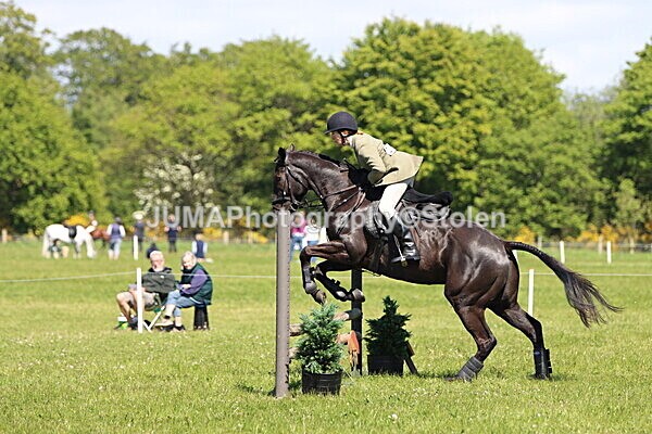 IMG_4127 - Working Hunter