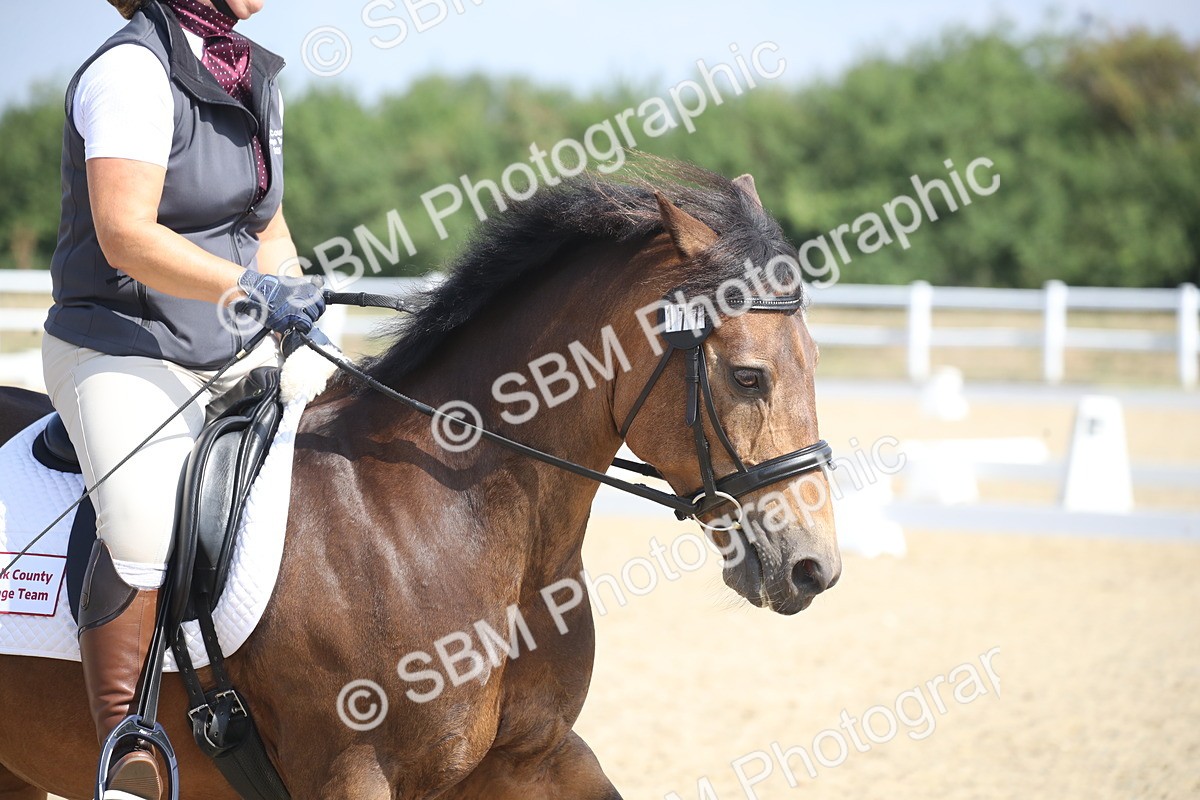 SBM_006040 - Novice 5 - 8.30.10.39