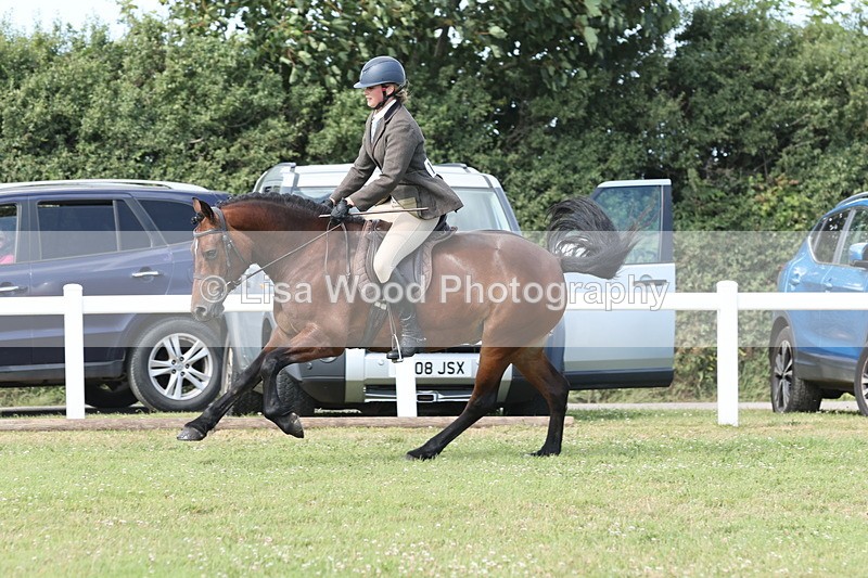 JPP_2417 - Class 19: Working Hunter 60cm