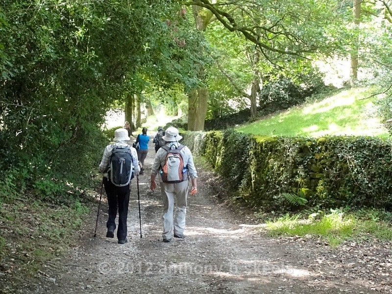 076  Passing through Low Wood Smelthouses - York Minster Walkers Collection 2024
