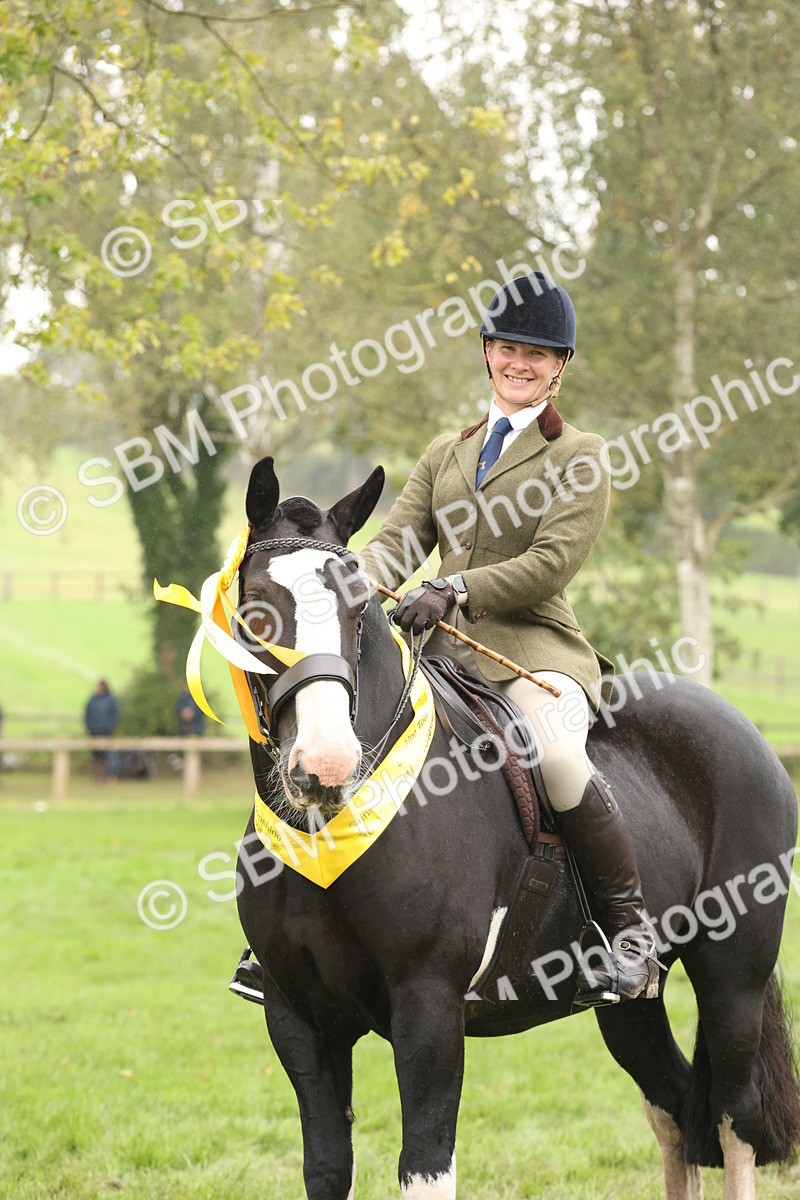 SBM_69866 - S69 - Show Cob Ridden