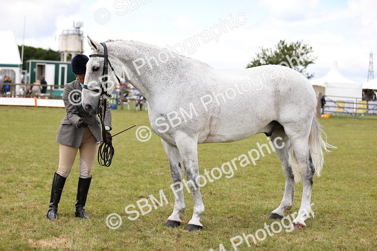 SBM_14734 - Class 88-89 - LIHS BSHA Rising Star of Ridden Hunter Type