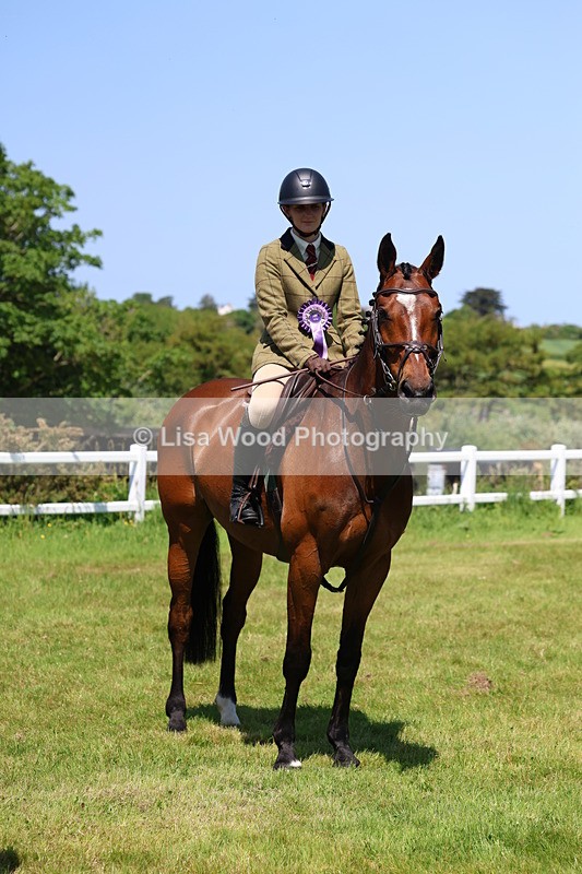 3E7A7429 - Class 30: Novice Working Hunter