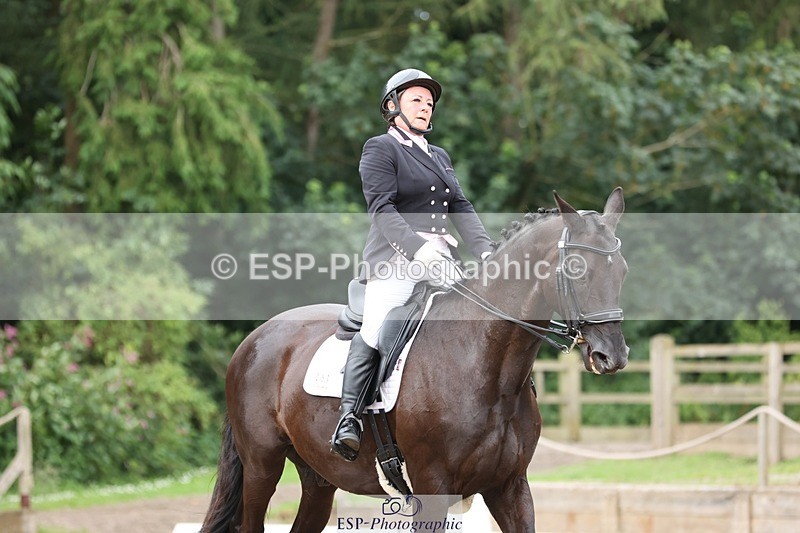 240721-091200-06929 - 259-Suzie_Wilson-Dantzig