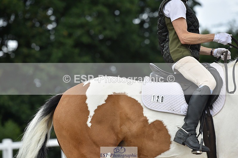 250622-124742-14609 - Quest Cls 31-35 Novice Tests