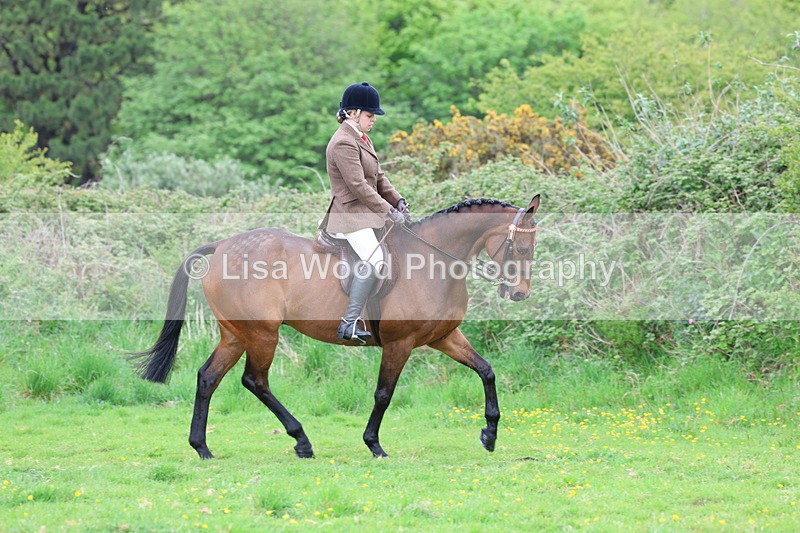 3E7A1964 - Class 10: Ridden Sports Horse