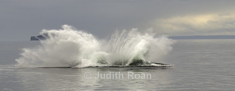  - Southeast Alaska