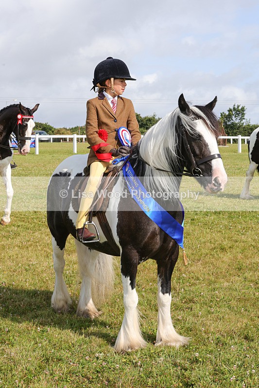 1X9A3514 - Skewbald and Piebald Ridden Championship