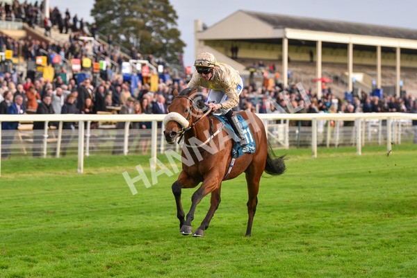 131023-Race 5-Irish Nectar-9681 - Race 5 4.25pm Parsonage Hotel And Cloisters Spa Nursery Handicap