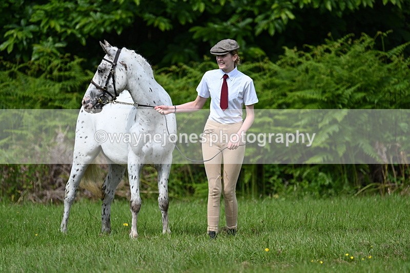 WJ7_1289 - Class 11 Condition & Turnout