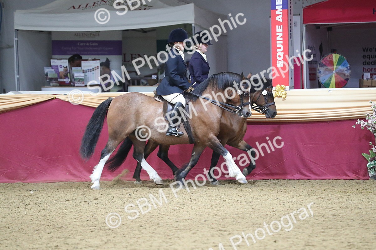 SBM_13706 - Class 109 Ridden Pairs - Section B