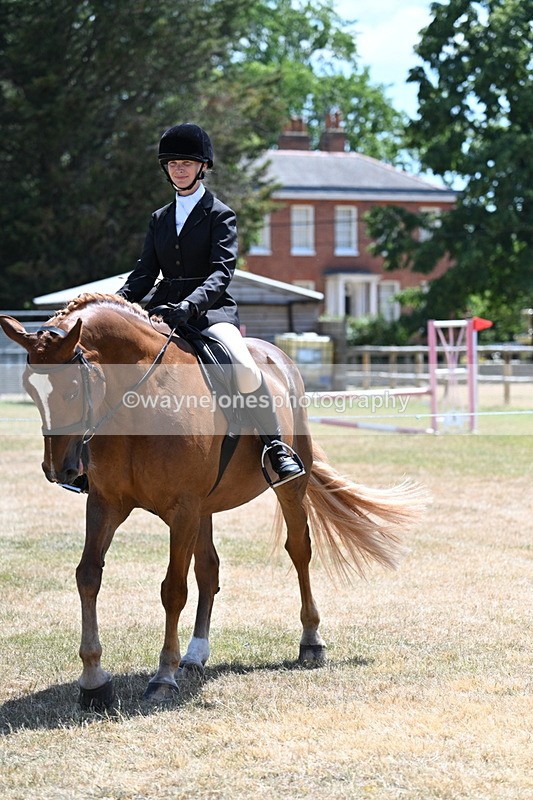 WJ7_2829 - Class 7 Riding Club Show Horse